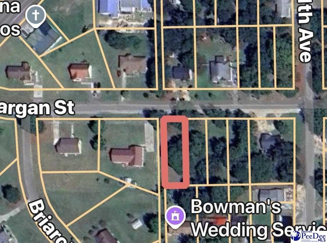Other - 711 W Dargan Street, Dillon, SC