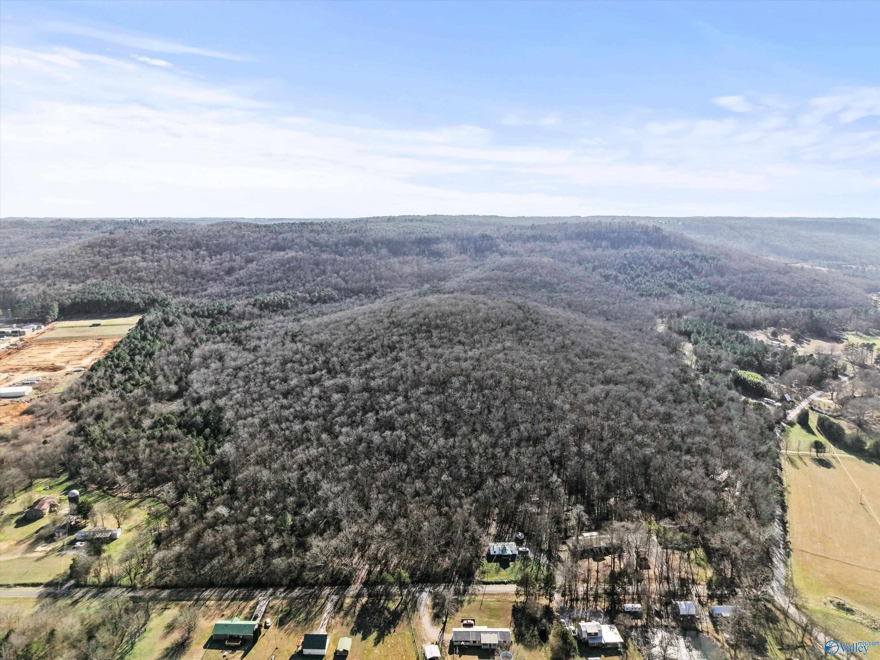 Single Family 3BR 2BA - 15 All Jersey Road, Somerville, AL