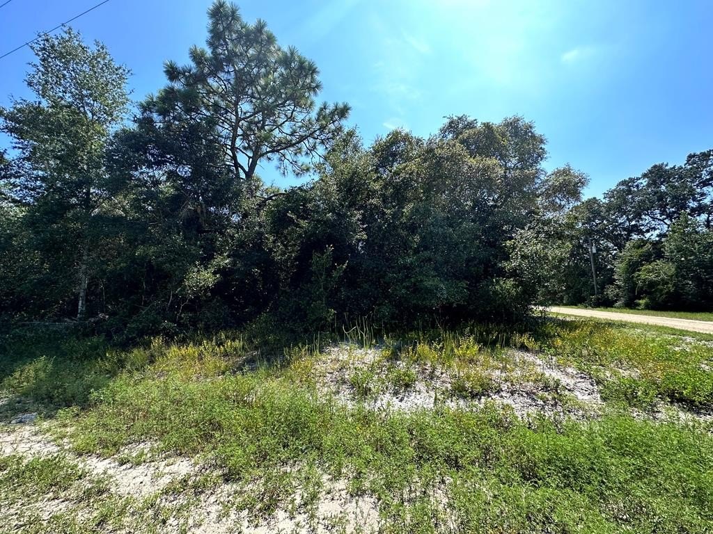 Other - 2515 Oleander Ter, Lanark Village, FL