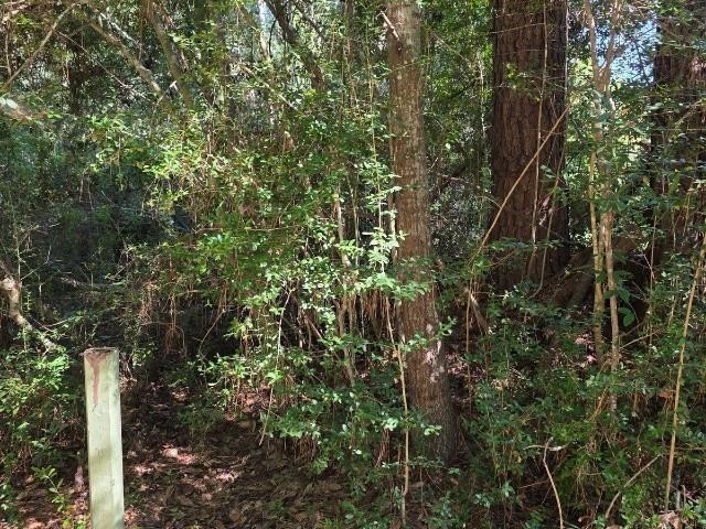 Other - 000 Berwick St., Vidor, TX