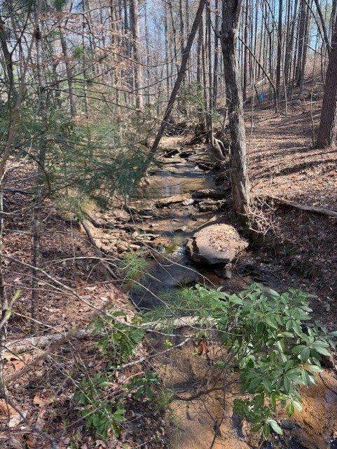 Other - Lot 339 Timber Creek Trail, Talking Rock, GA