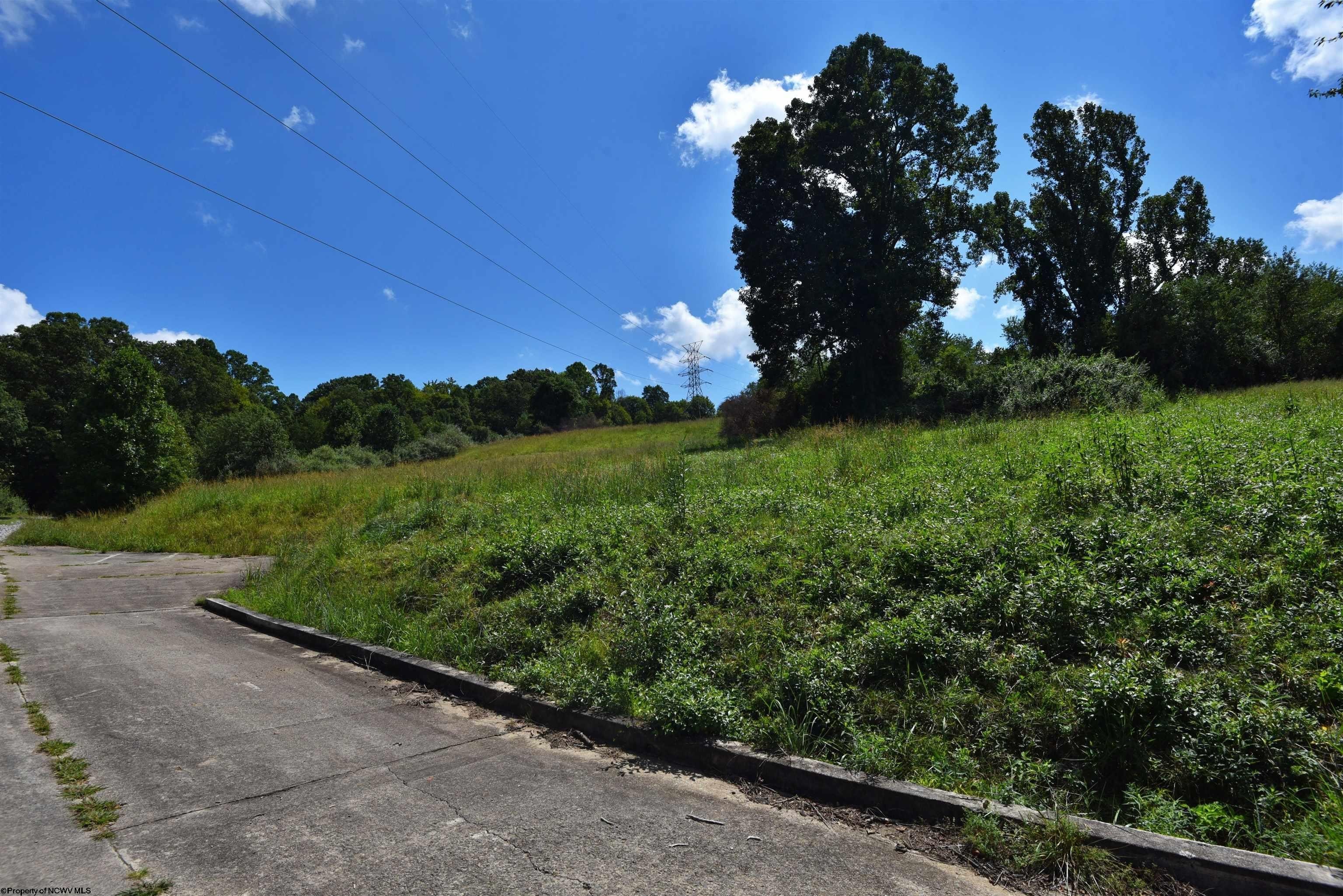 Other - Carlson Drive lot: 46, Grafton, WV