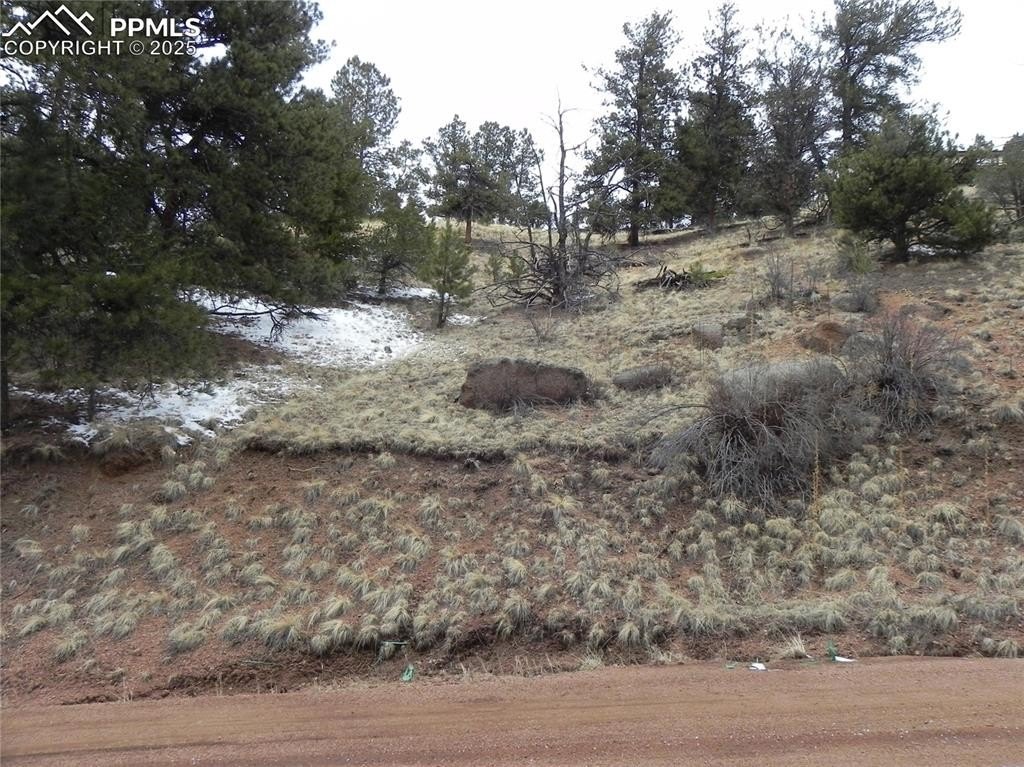 Other - 153 Idlewild Drive, Cripple Creek, CO