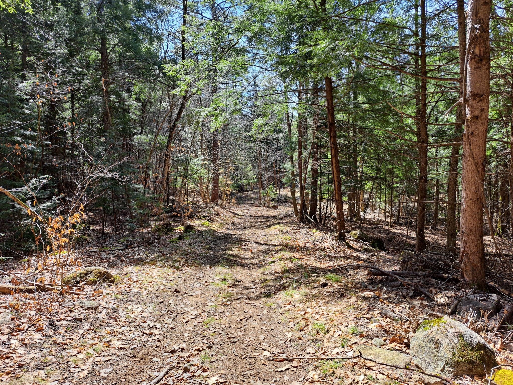 Other - Cloverleaf Drive, Warrensburg, NY