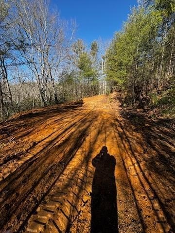 Other - Lot 16 Paradise Mountain, MARBLE, NC