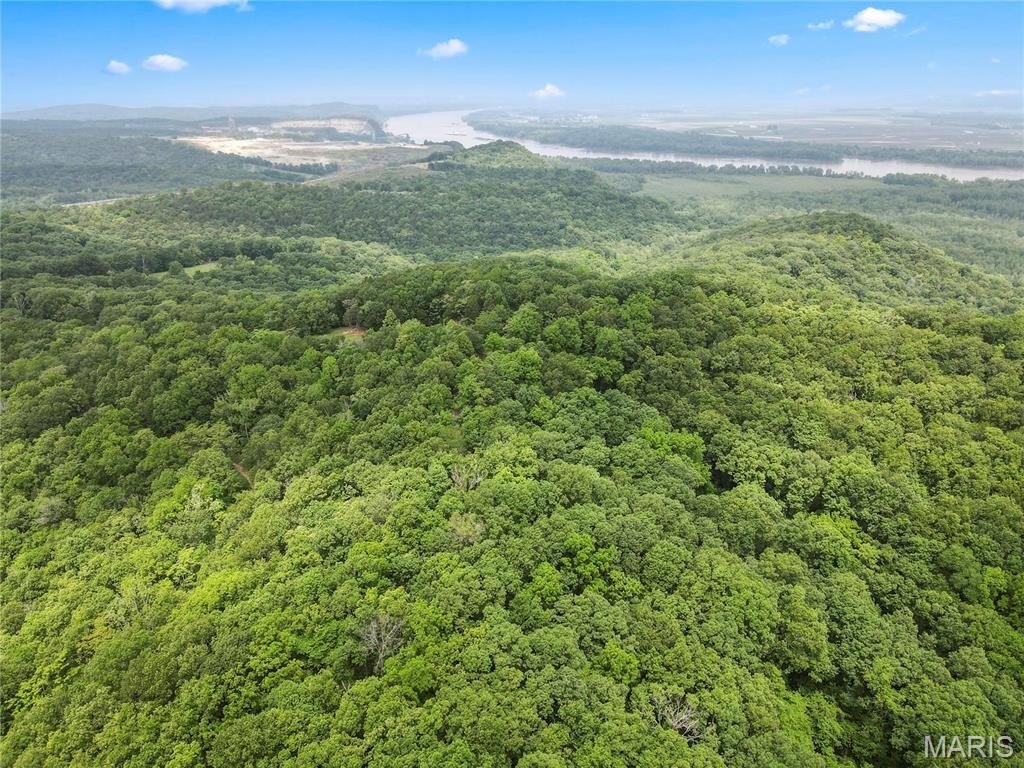 Other - 6.26 Acres Mississippi Queen Court, Festus, MO
