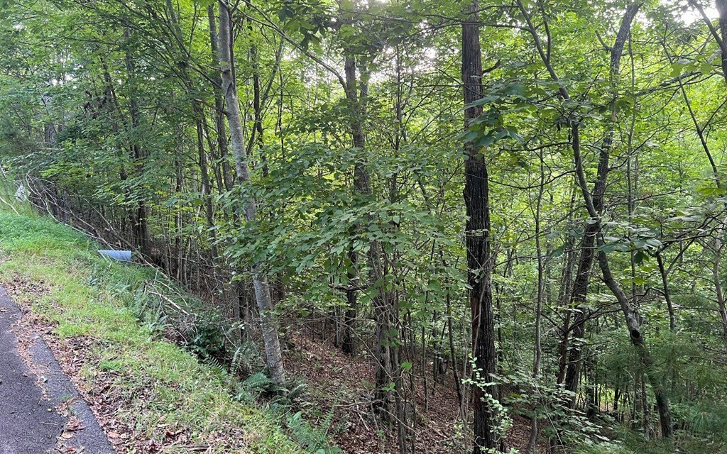 Other - Lot 13 The Preserve, BRASSTOWN, NC