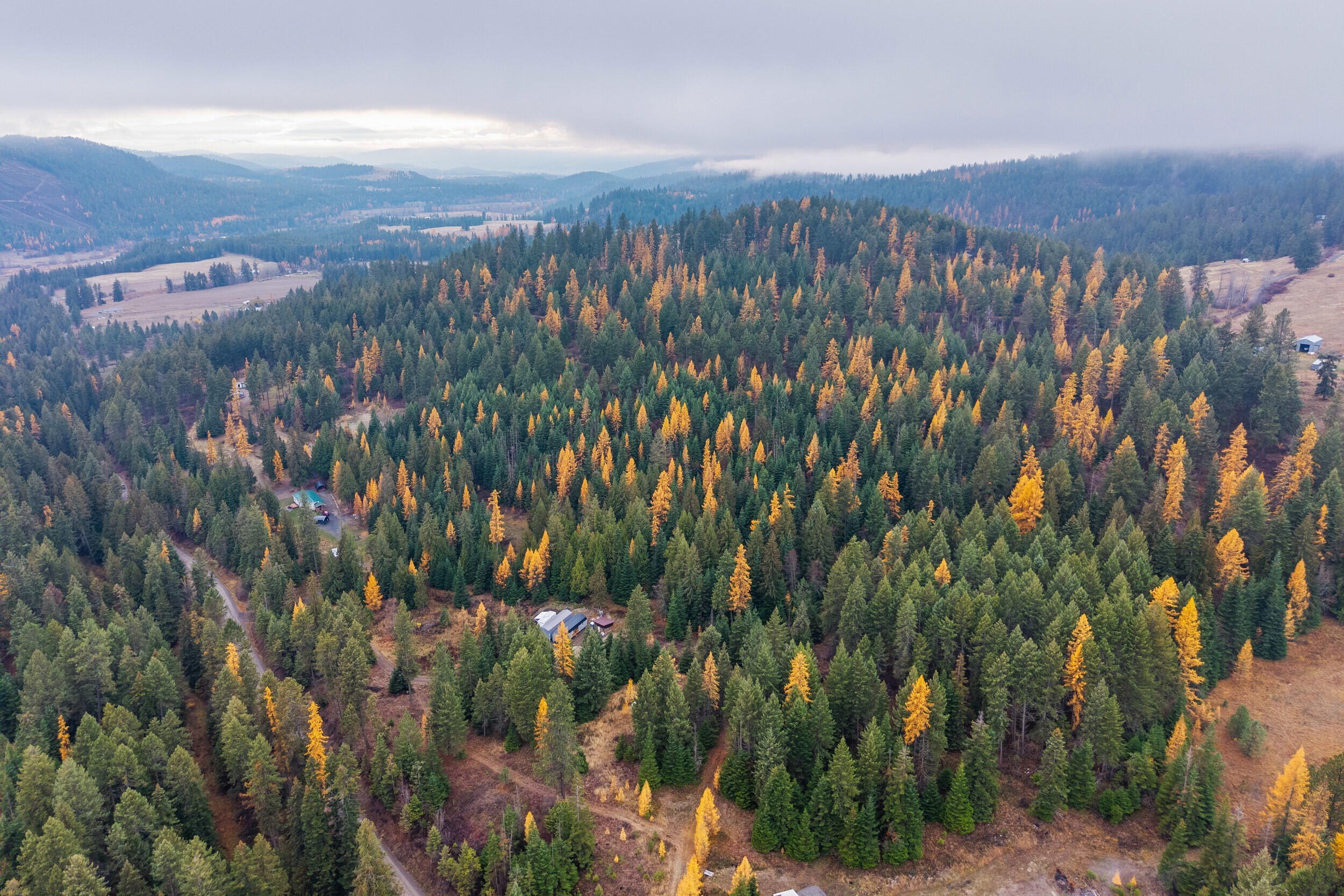 Other - 700 DRY GULCH RD, COLVILLE, WA