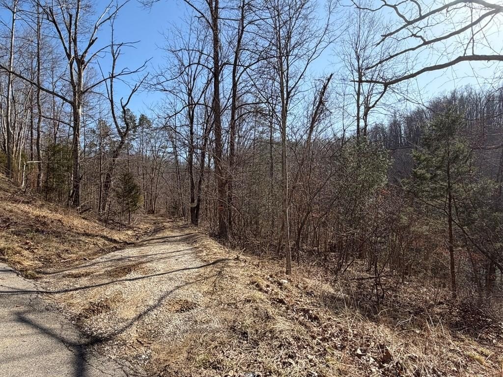 Other - 7041 KY Route 1092, Flat Gap, KY