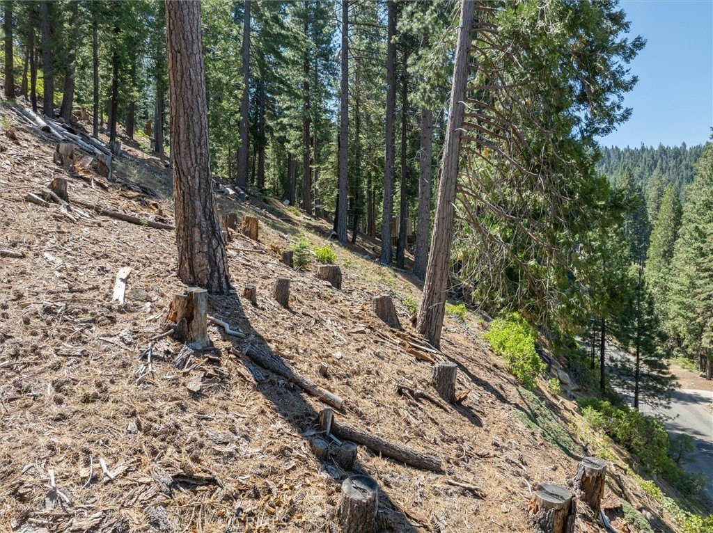 Other - 7343 Yosemite Park Way, Yosemite, CA