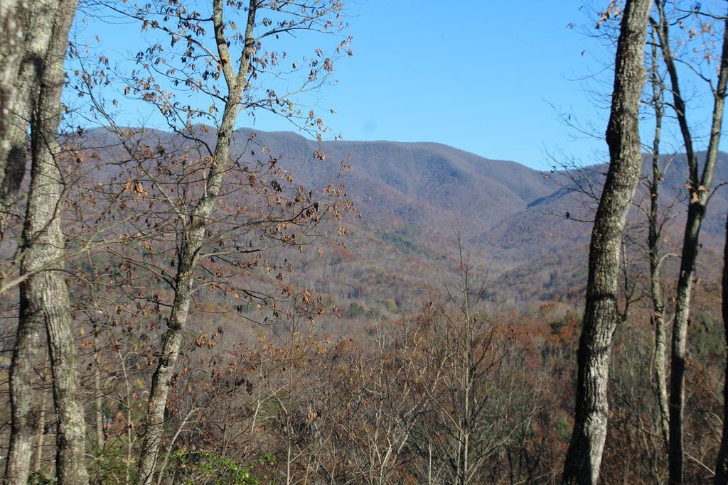 Other - 2 Gabriel Ridge, Hayesville, NC