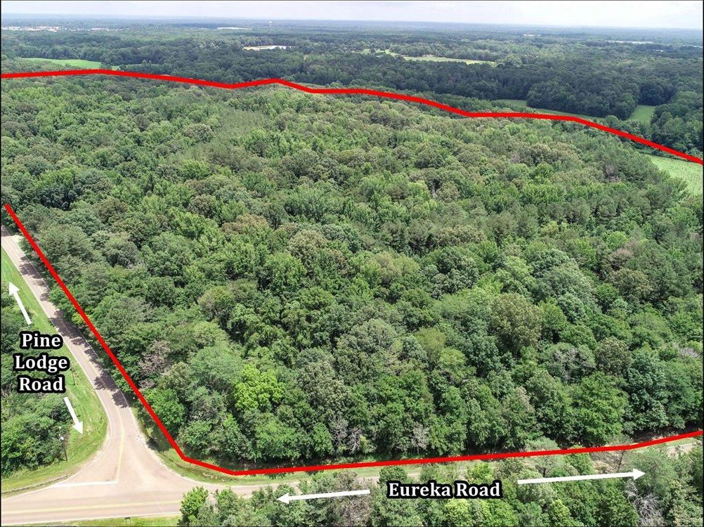 Other - Pine Lodge Road, Batesville, MS
