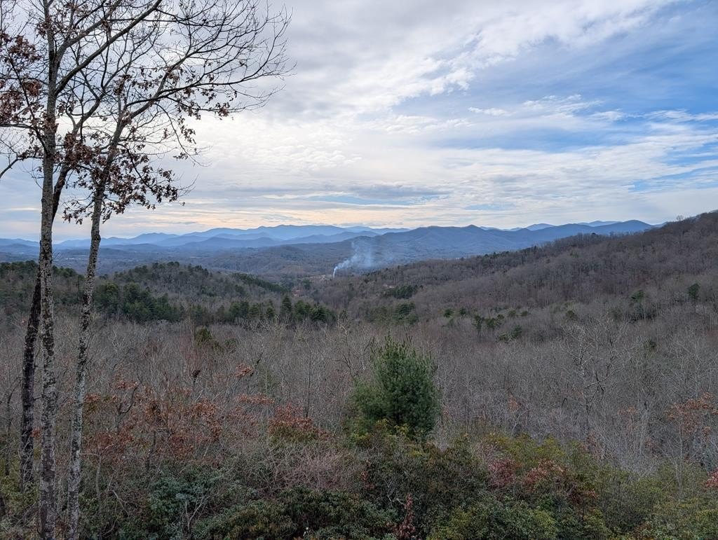 Other - Lyle Knob, Franklin, NC