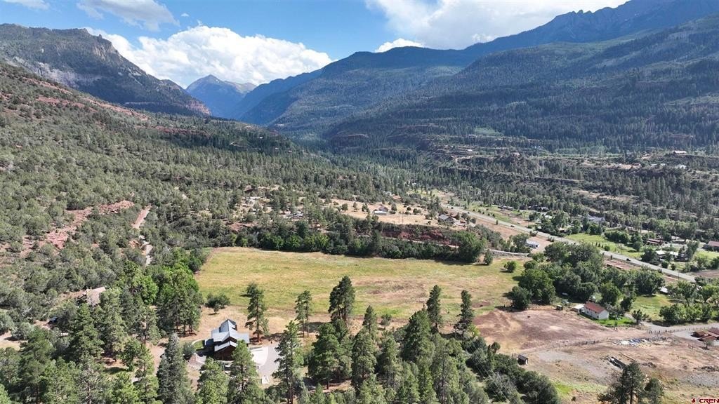 Single Family - Lot 3 White House Vista Lane, Ridgway, CO