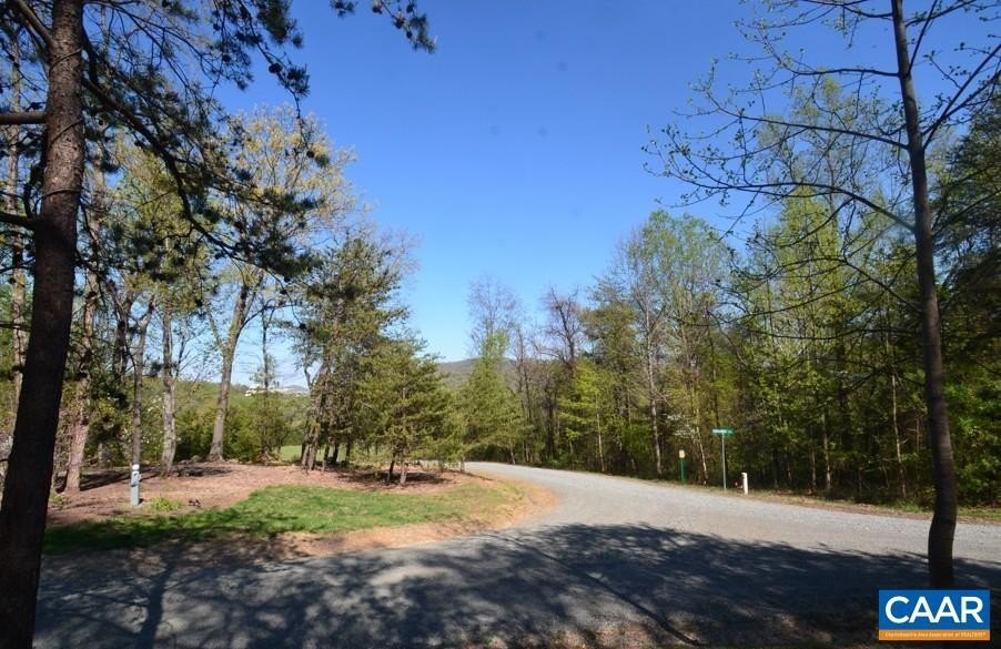 Other - Lot D1 HIDEAWAY TRL, STANARDSVILLE, VA