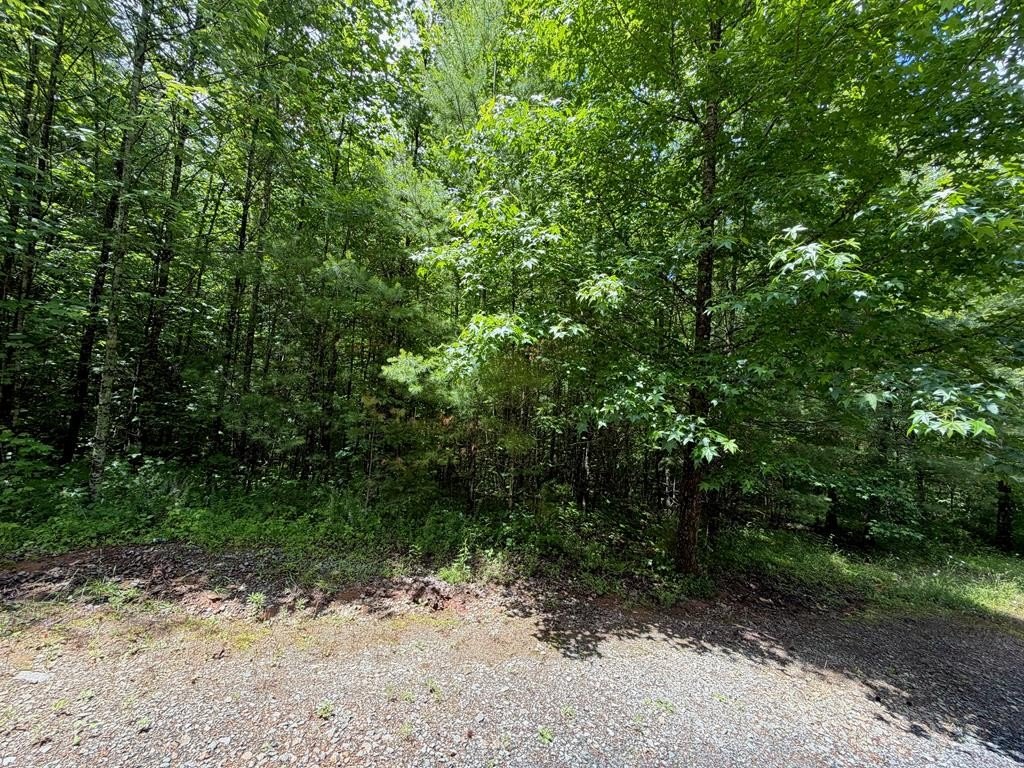 Other - 2.75ac Quail Ridge Road, Epworth, GA