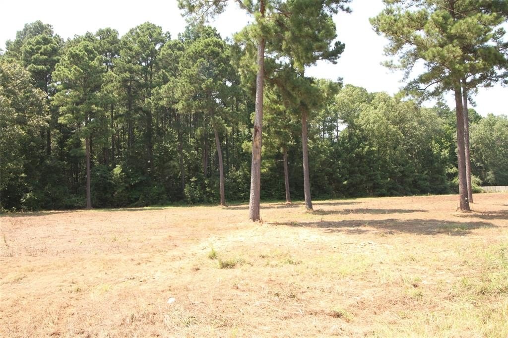 Other - Lot 6 Peaceful Pines, Vivian, LA