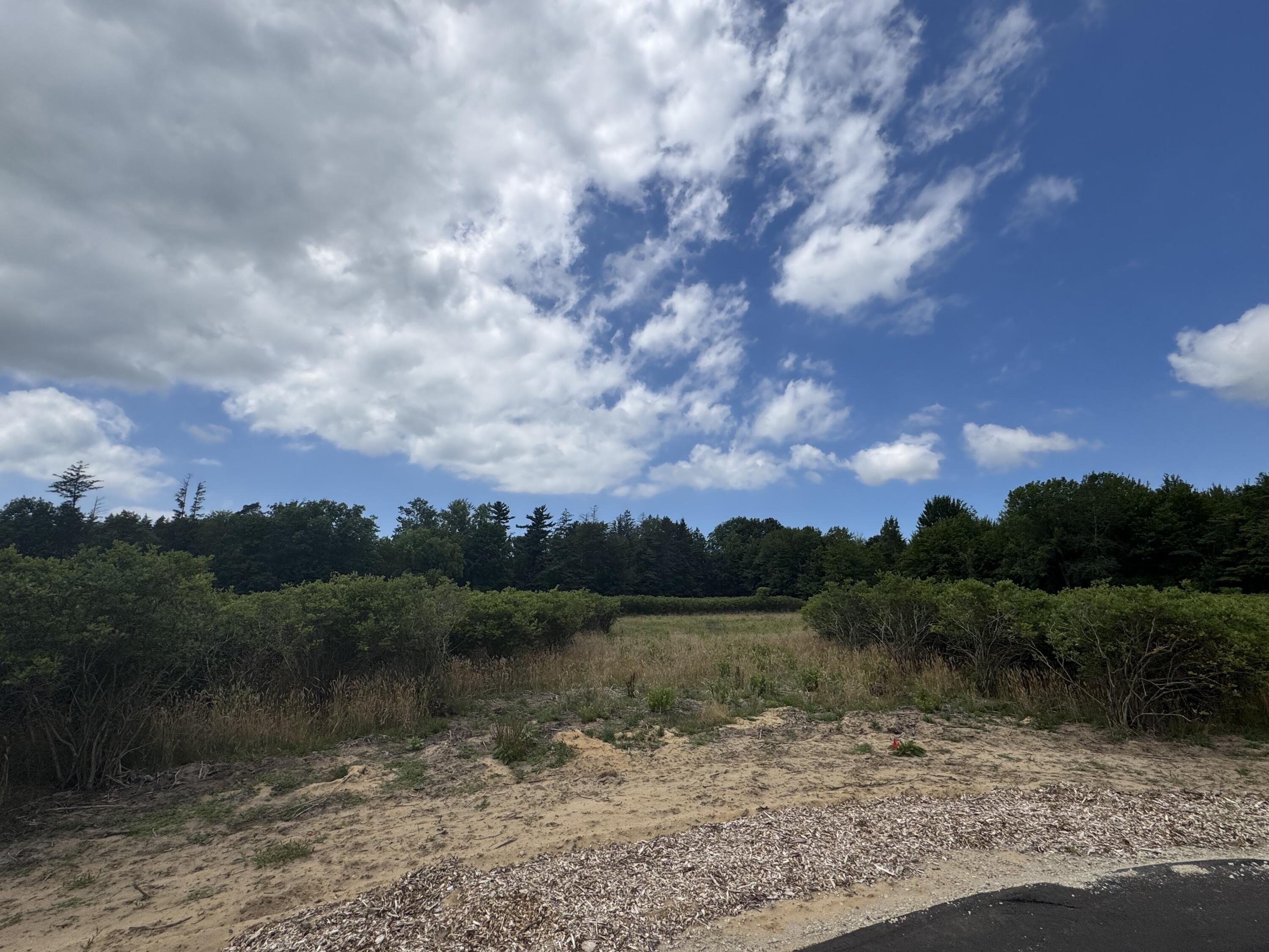 Other - 6537 118th Ave lot: D, Fennville, MI
