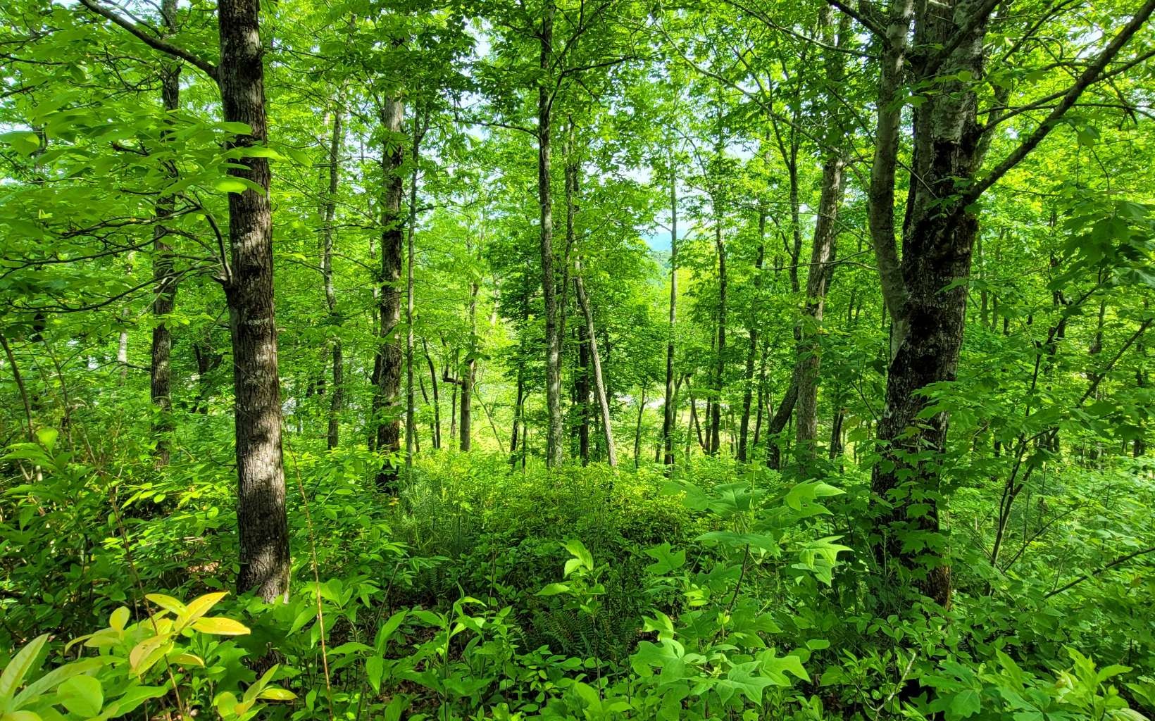 Other - 5 Oak Forest Acres, Hayesville, NC