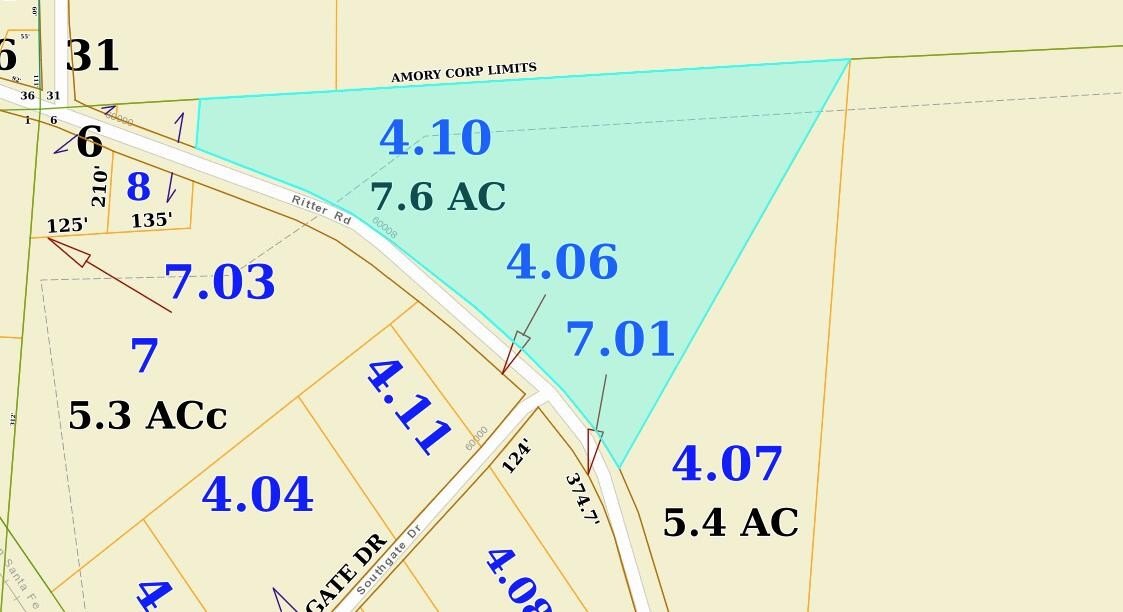 Single Family - 7.6 ac Ritter Road, Amory, MS
