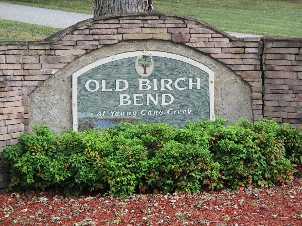 Other - Lot 25 Byers Road, Blairsville, GA