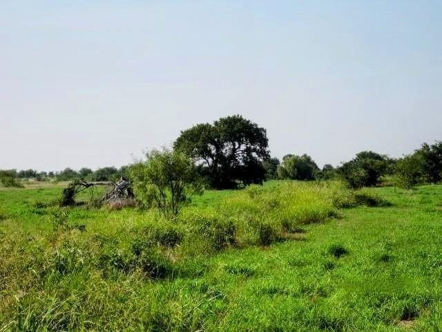 Other - 1718 Johnny Watson Road, Whitesboro, TX
