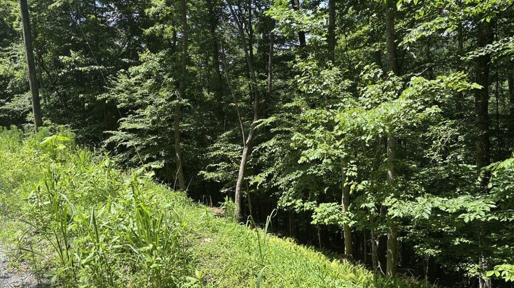 Other - Lot 781 Omen Circle, Ellijay, GA