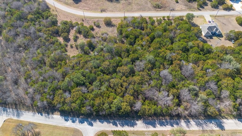Other - 38008 Cedar Trail, Whitney, TX