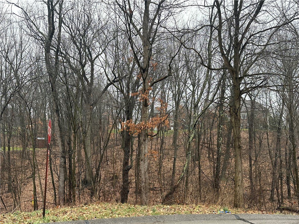 Other - Woodhaven Drive lot: #1, Sarver, PA