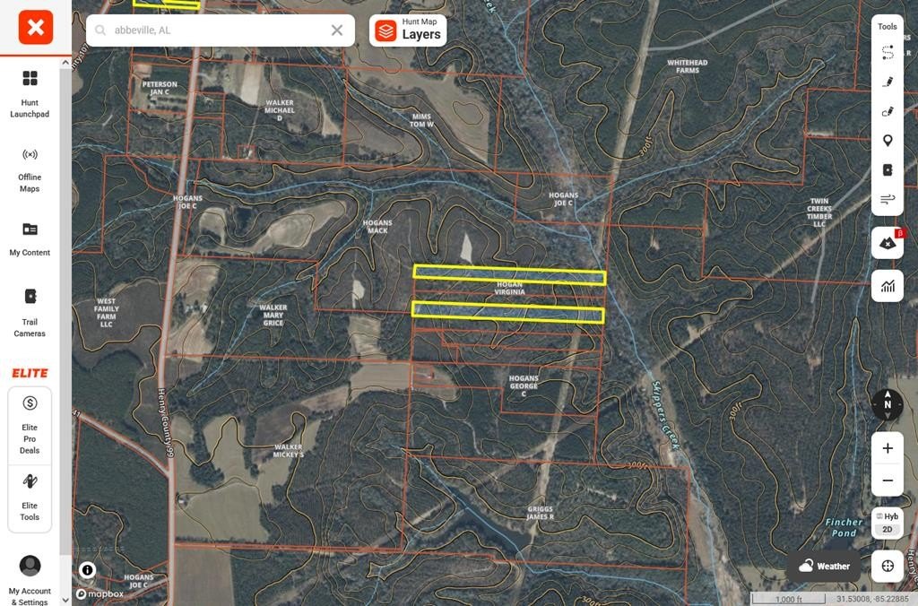 Single Family - TBD County Road 99, Abbeville, AL