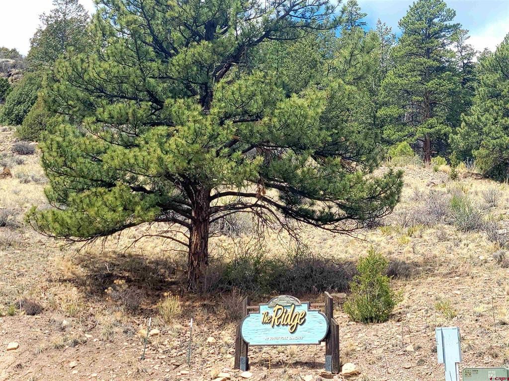 Single Family - TBD Little Bear Circle Lot 55, South Fork, CO