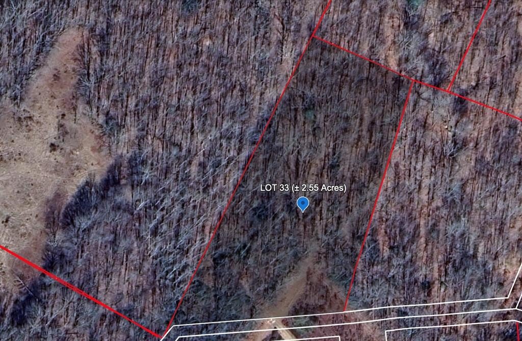 Other - 118 WOODCHUCK RUN, BRAGG, WV