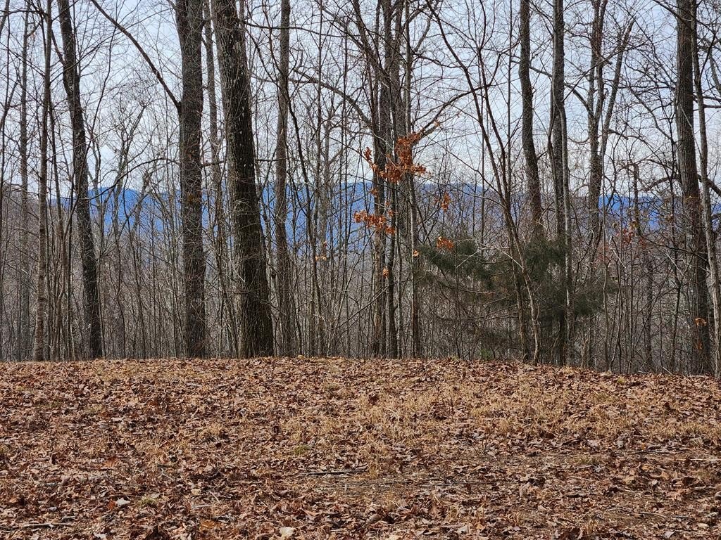Other - Highlands Pass lot: 28, Franklin, NC