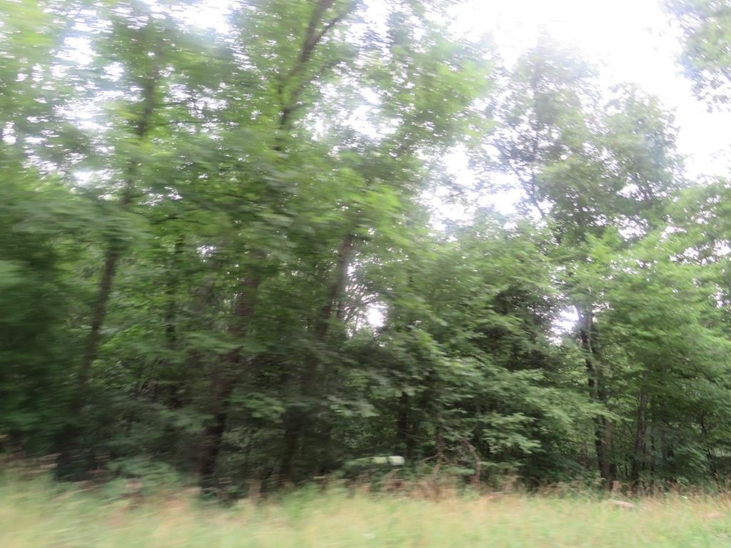 Other - 00 KY RT 1624, Flat Gap, KY