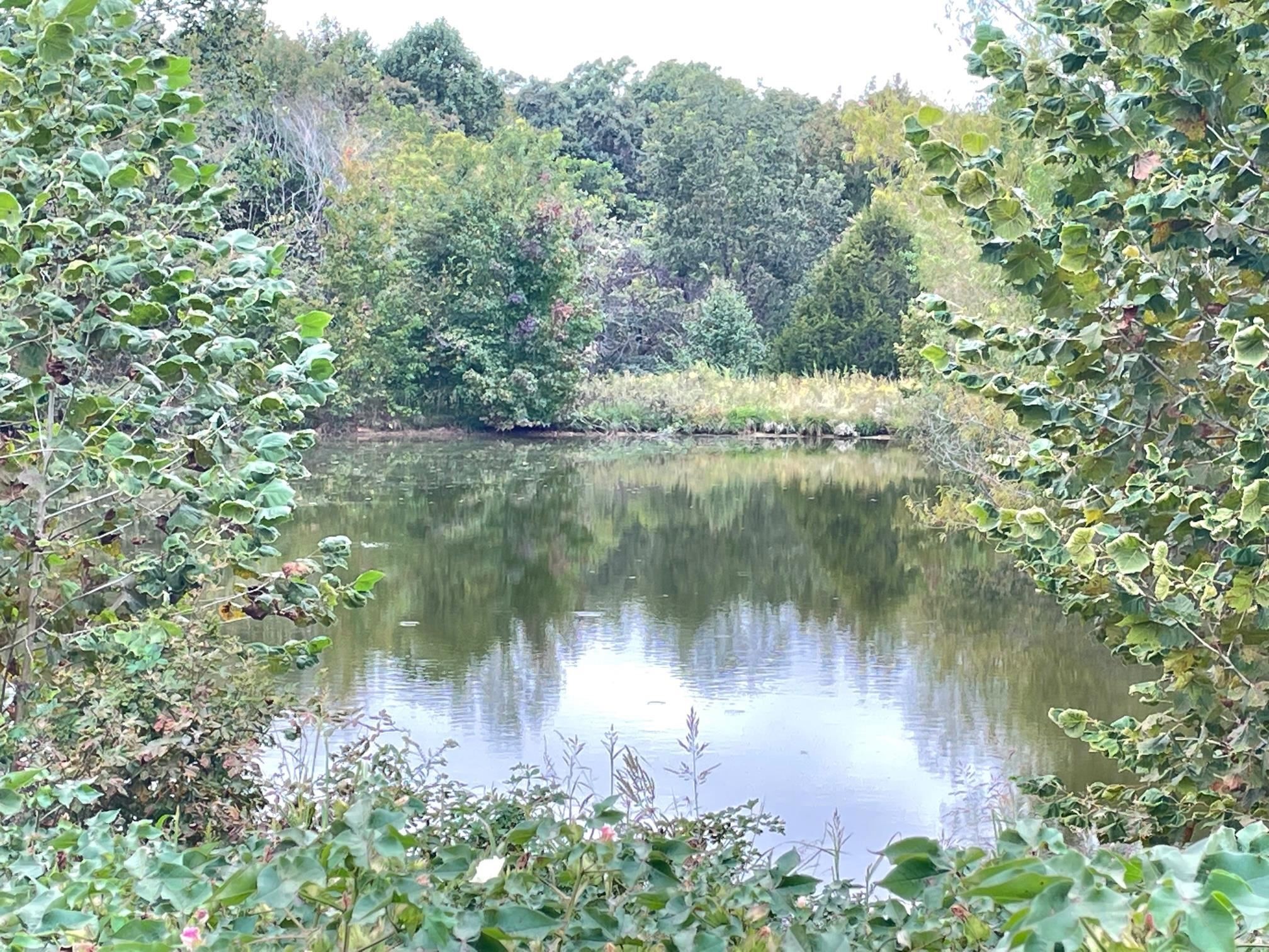 2000 Hopewell Rd  