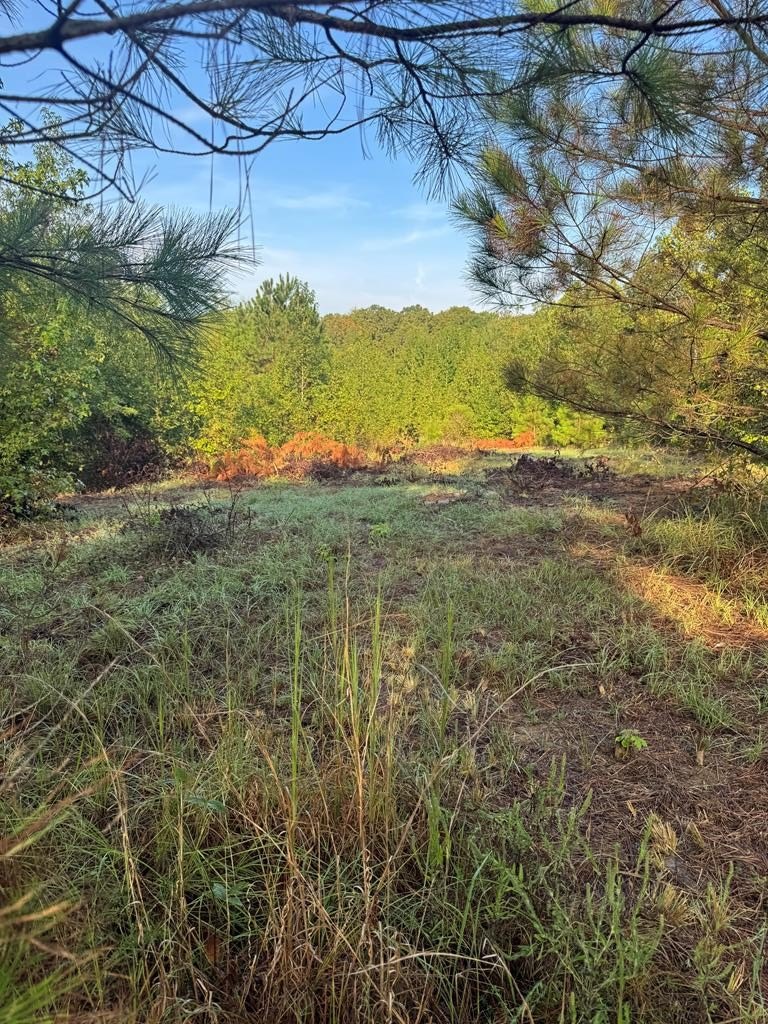Other - Cr 367, Oxford, MS
