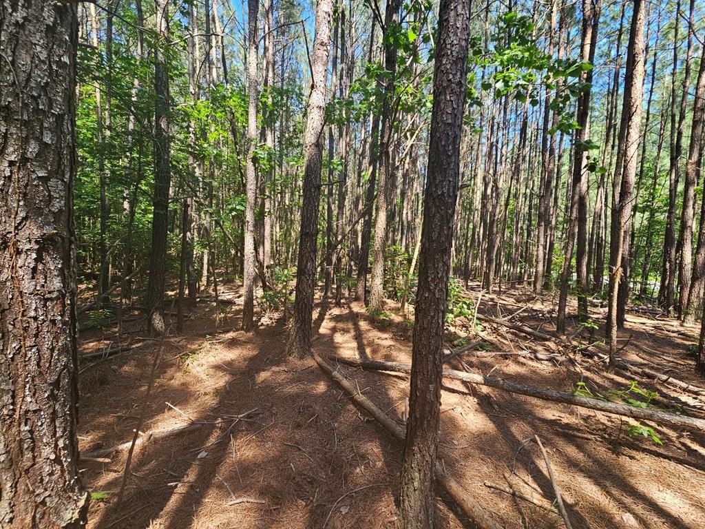 Single Family - Lot 41 Stoneman Lane, Heathsville, VA