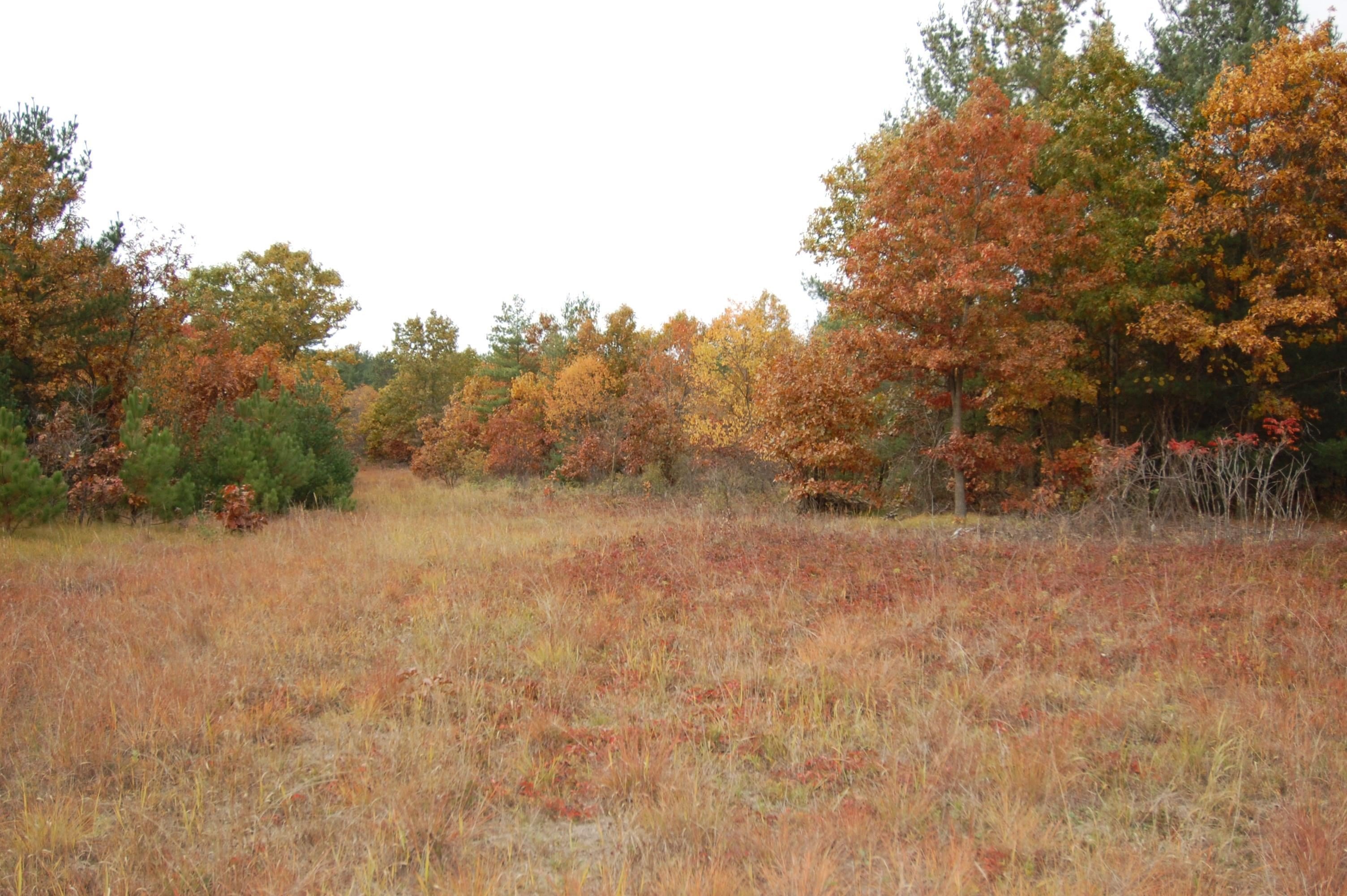 Other - 9999 Tessa Drive, Lone Rock, WI