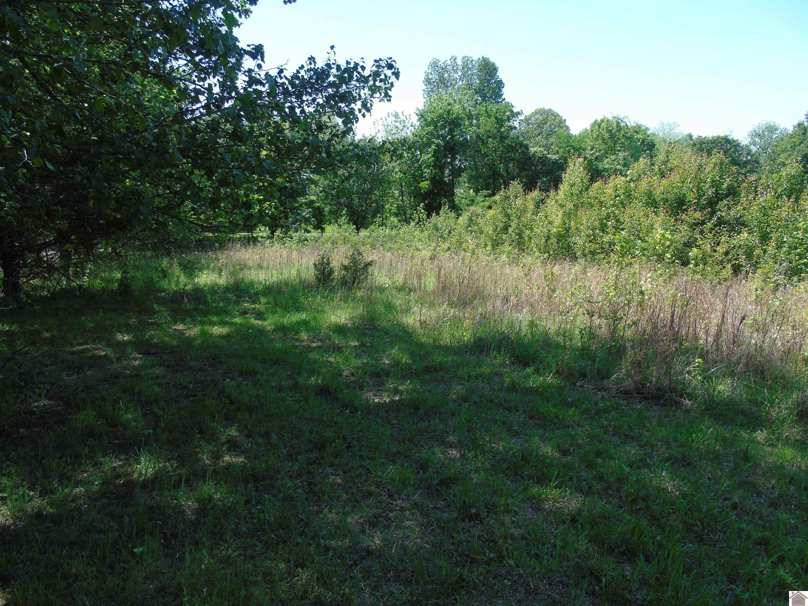 Other - 150 clover circle, Cadiz, KY