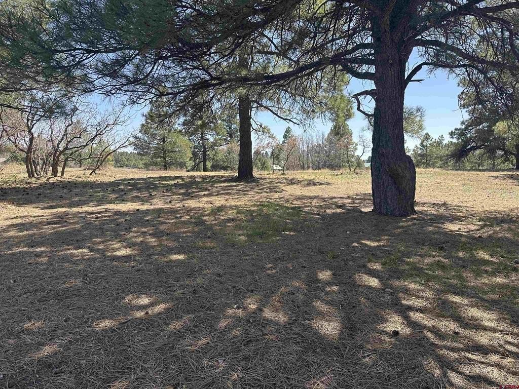Single Family - 1259 Lakeside Drive, Pagosa Springs, CO