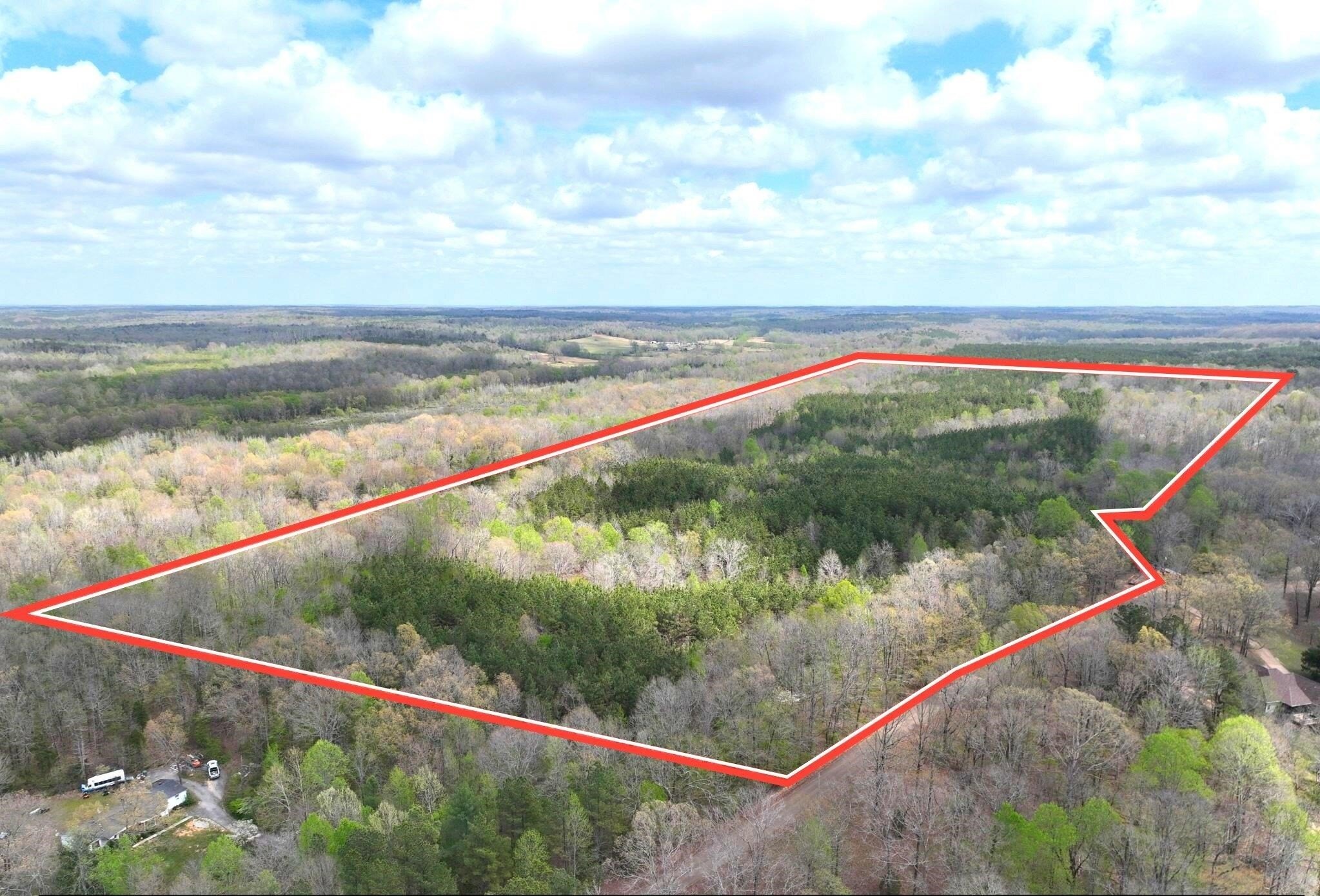 Other - DACUS Rd, Medon, TN
