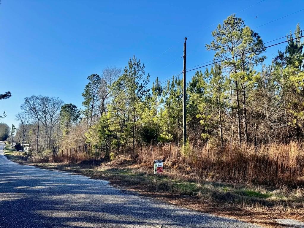 Other - 0 Needmore, Troy, AL