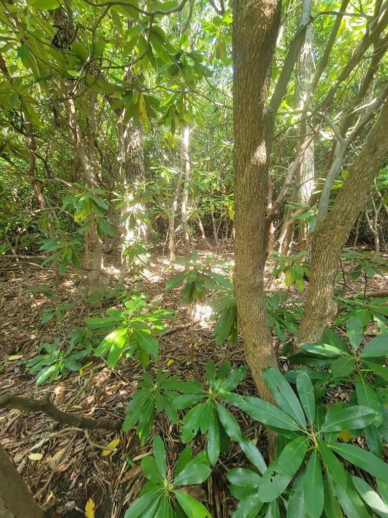 Other - Edgeview Dr. lot: 21, Meadows of Dan, VA