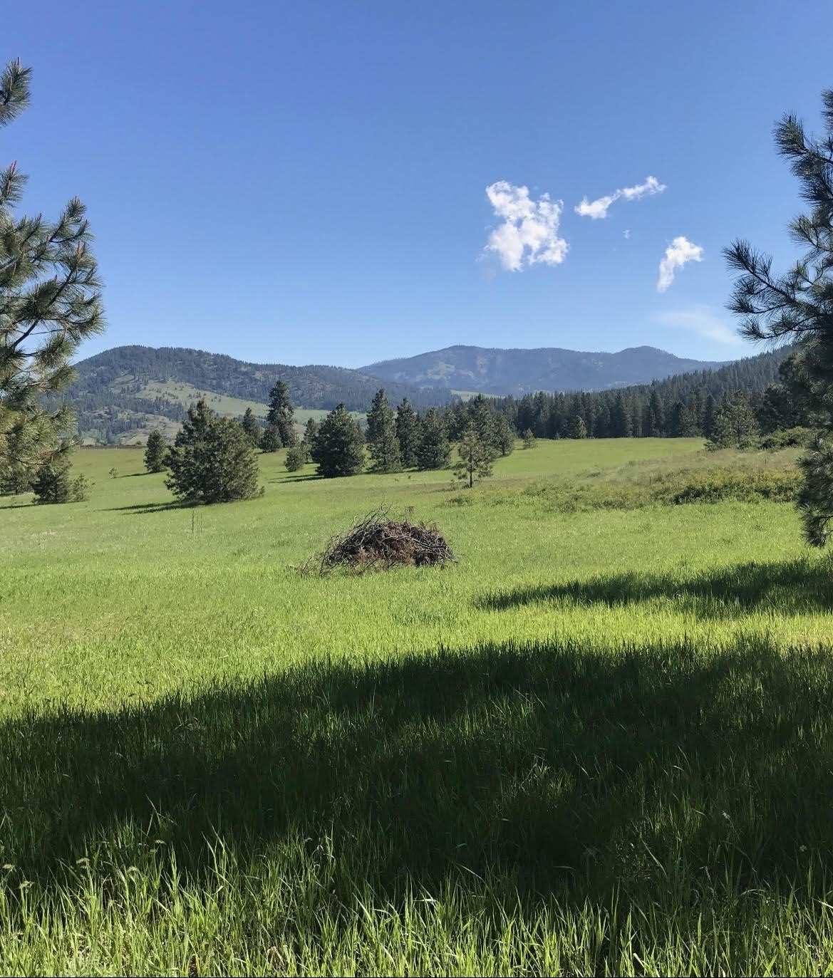 Other - 2069 A JOHNSON RD, RICE, WA