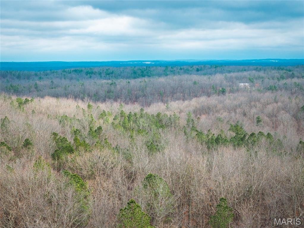 Other - 11.09 Acres Broken Arrow Trail, Raymondville, MO