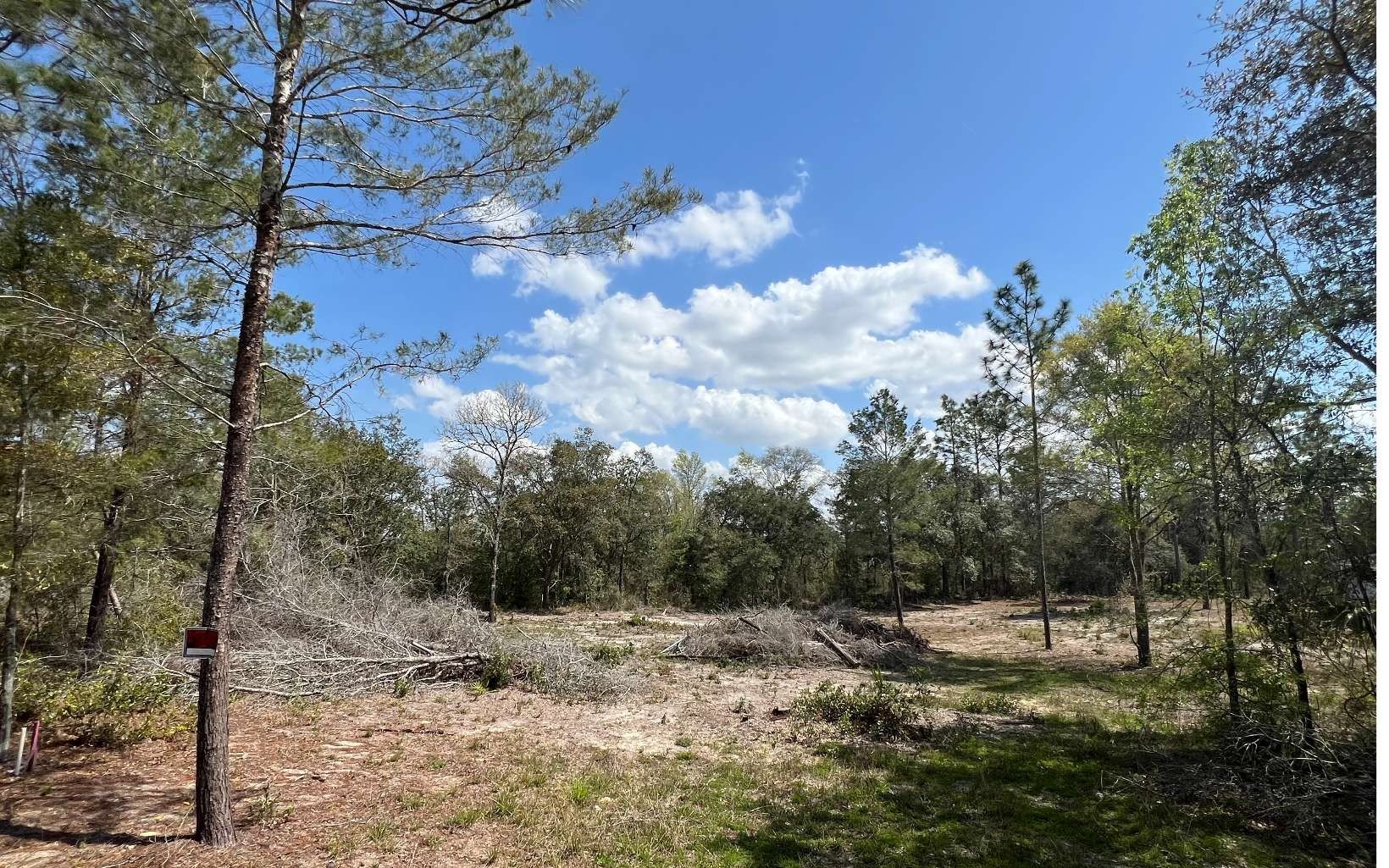Single Family - 000 NE 134TH TERRACE, Williston, FL
