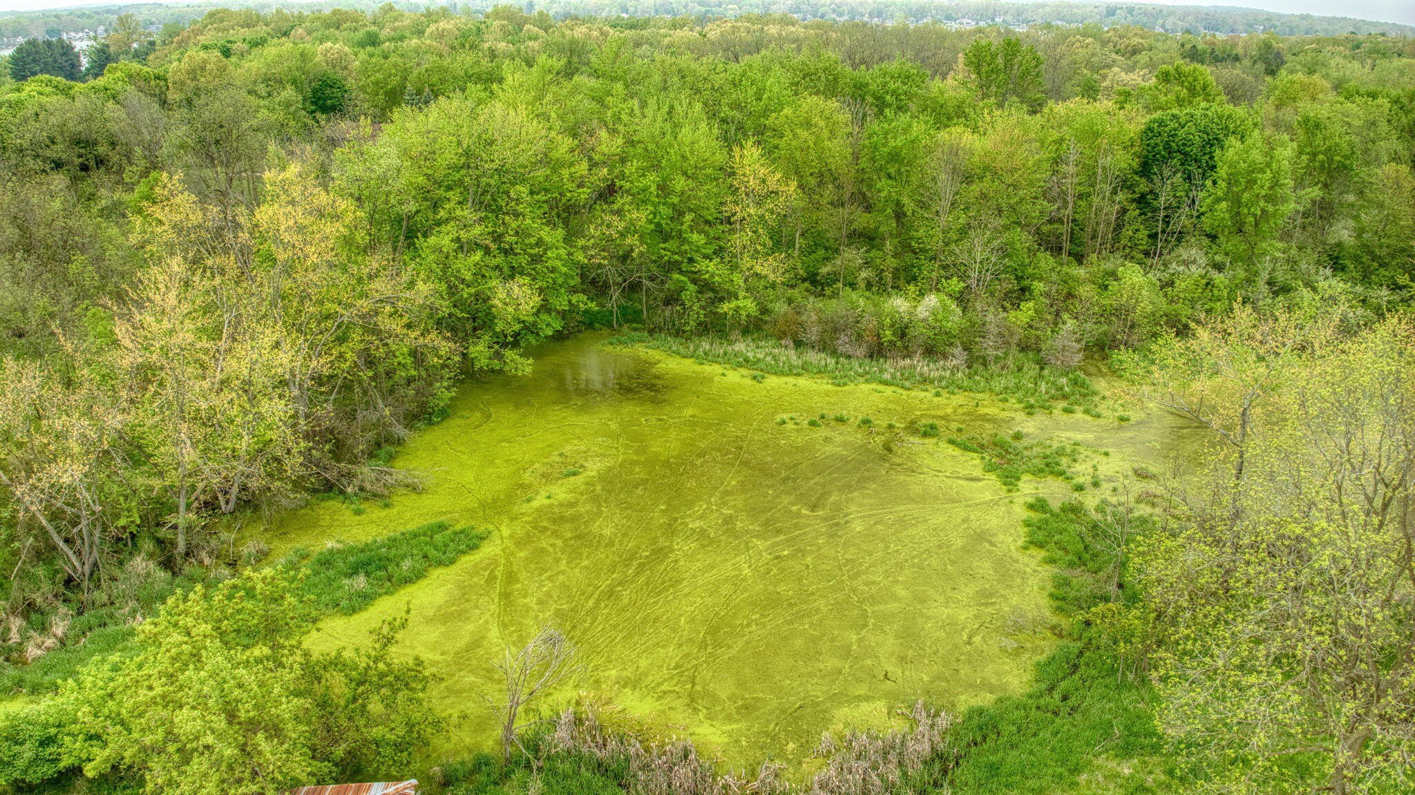 Single Family - 5280 Jefferson Road, Clarklake, MI