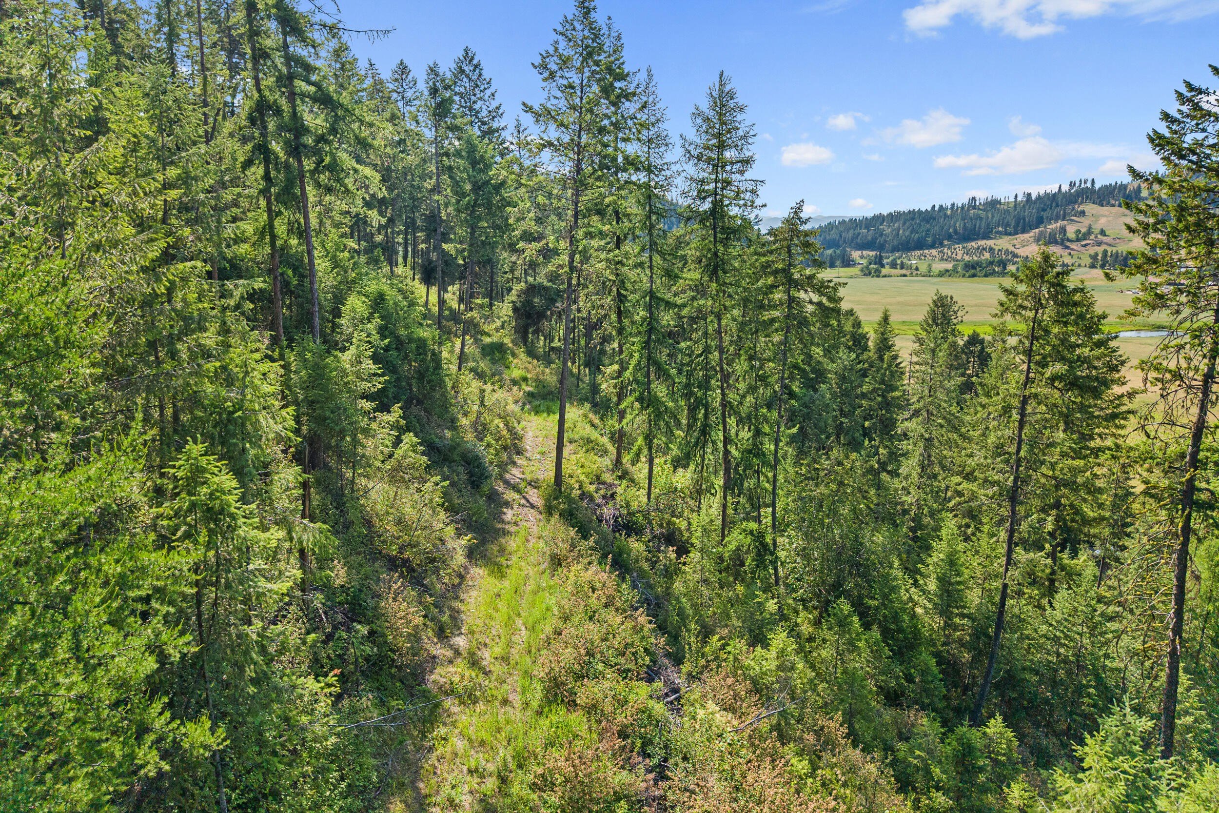 Other - 585 WHITE MEADOW WAY, COLVILLE, WA