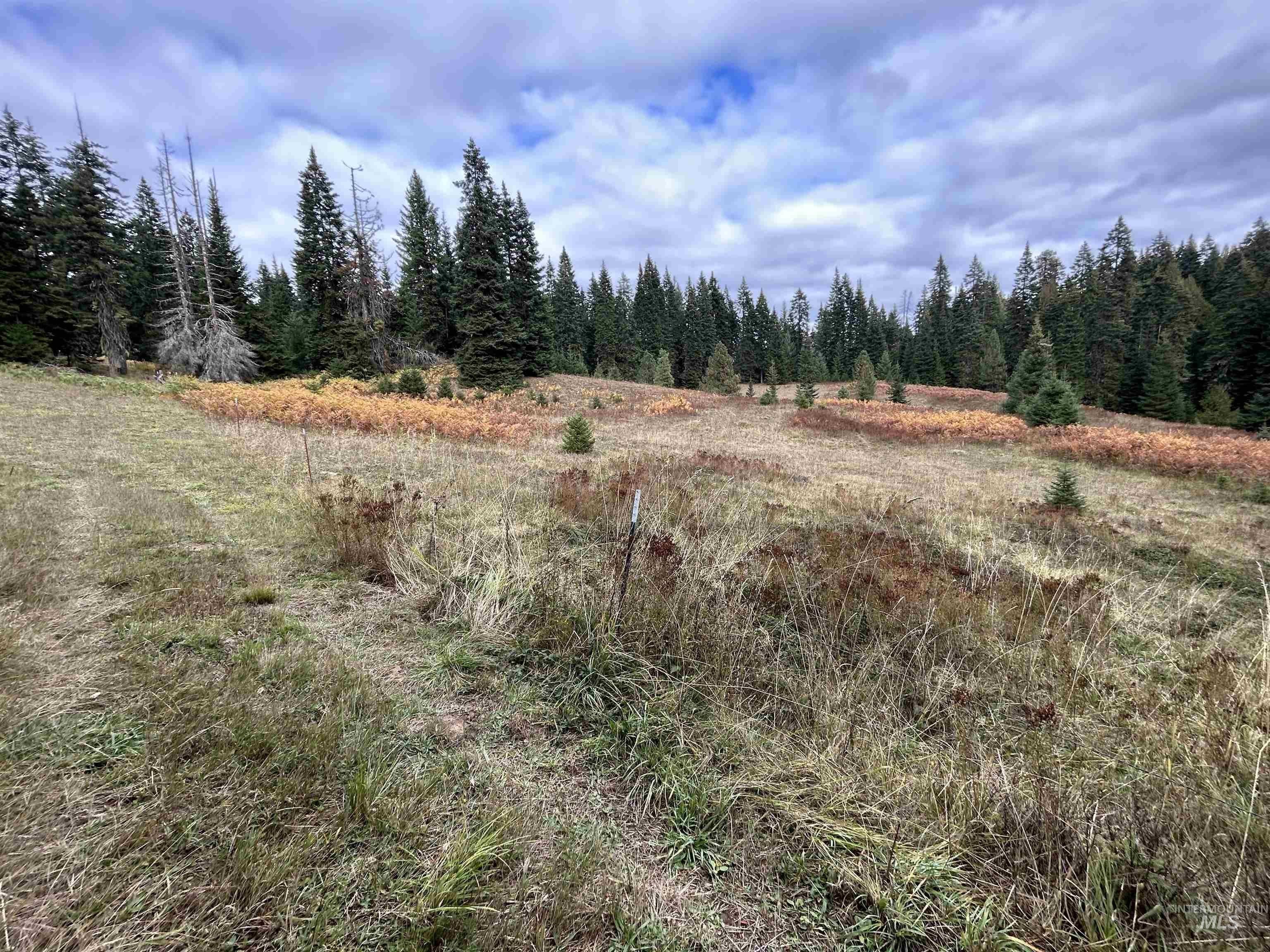 Other - TBD LOT 3 Glenwood Road, Kamiah, ID