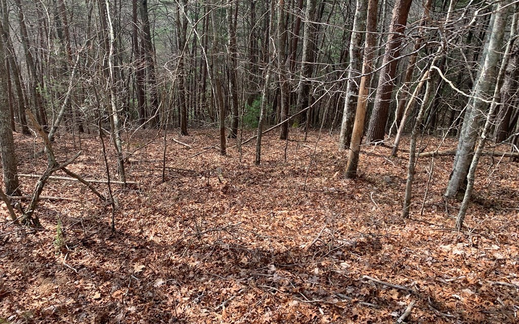 Other - Lot20 Wolf Ridge Lane, Murphy, NC